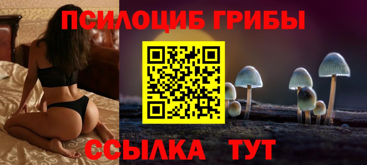 Галлюциногенные грибы Magic Shrooms  Вход с VPN  Новый Уренгой 